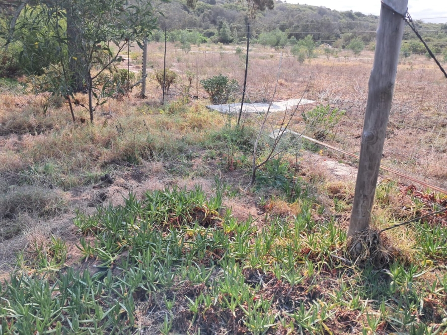  Bedroom Property for Sale in Tergniet Western Cape